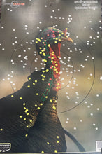 Load image into Gallery viewer, .410 Tominator T400 Turkey Load
