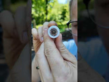 Load and play video in Gallery viewer, 12 gauge Bear Claw (7 556 projectiles)
